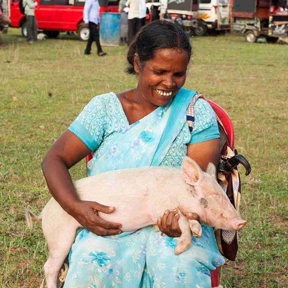 Woman receives income generating gift of a pig from GFA World Gift Distribution