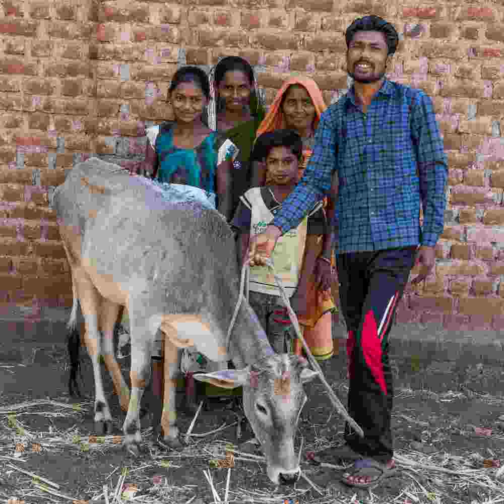 Taden and his family are overcoming poverty in Asia with the gift of a cow from GFA World gift distribution