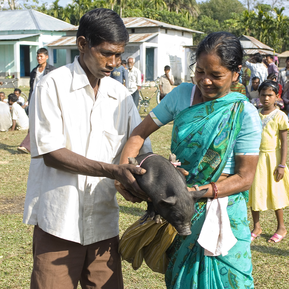 Woman receives an income generating gift of a pig through GFA World gift distribution