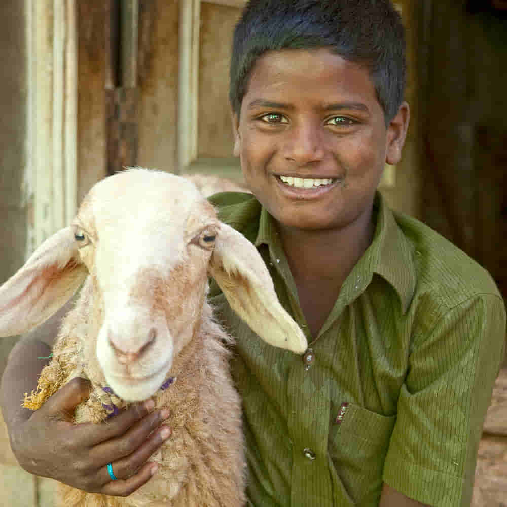 Young boy with an income generating gift of a goat from GFA World gift distribution
