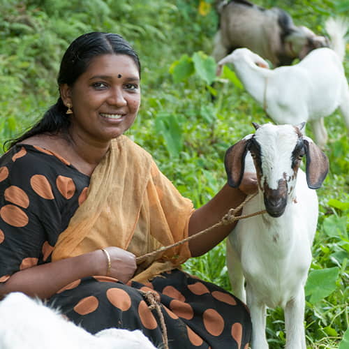 Woman received an income generating gift of a goat that helps fight poverty