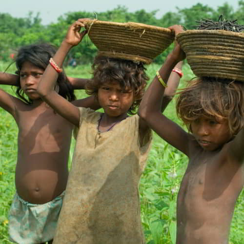 Child laborers in a farm in South Asia