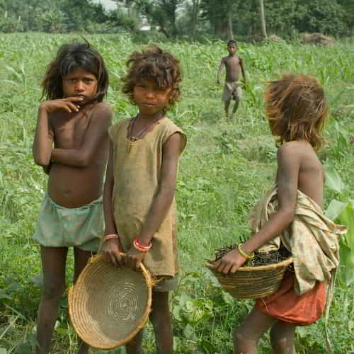 South Asia, dalit child labor