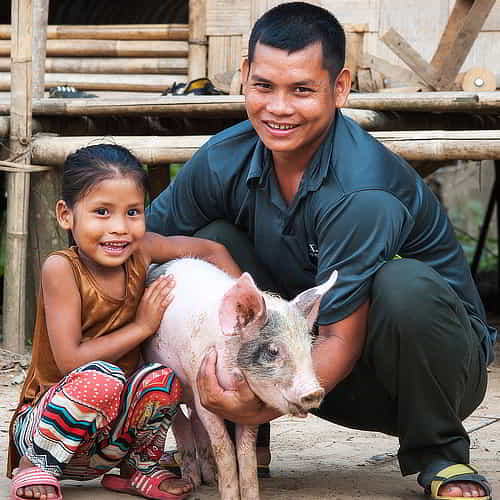 Sponsor a family for Christmas through giving income generating animals