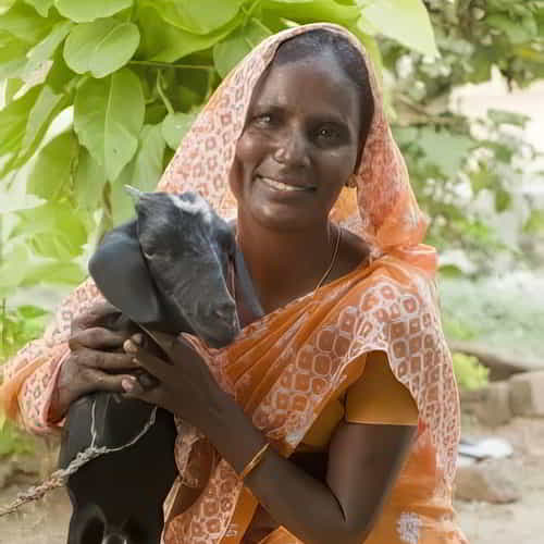 Woman received income generating Christmas gift of a goat through GFA World