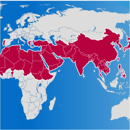 Where are Christian missionaries needed most - in the 10 40 window