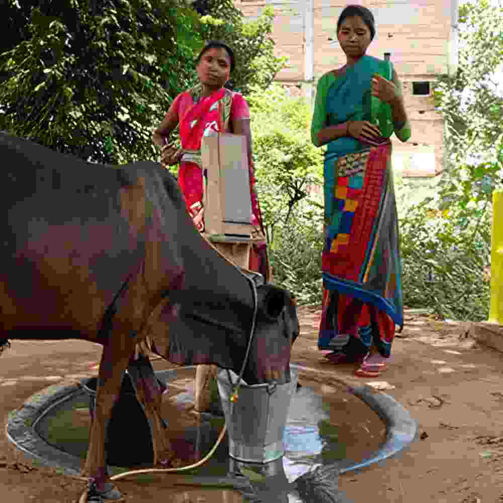 Suhana visits with a neighbor while she gives her cow a drink of water at the Jesus Well. This well, located a stone’s throw from Suhana’s home, was constructed shortly before she arrived in the village as a young wife.