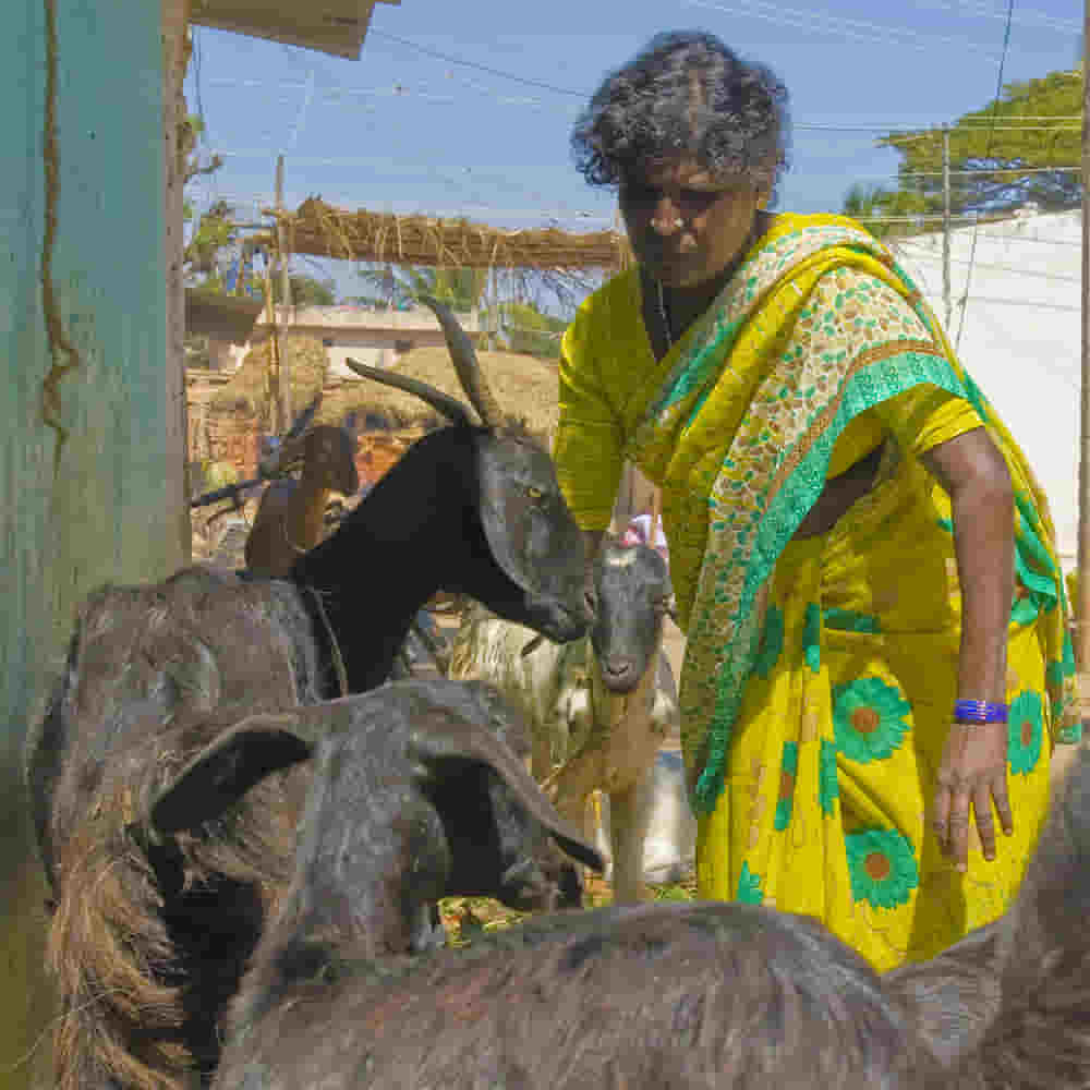 This woman's family is given a way out of poverty through income generating gifts of goats through GFA gift distribution