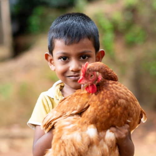 Boy holding an income generating gift of a chicken from GFA World gift distribution