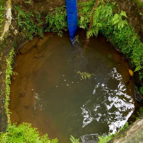 Impure, dirty, contaminated open water well in Sri Lanka