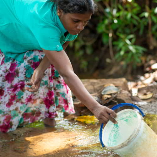 Woman from Sri Lanka collects impure water from open water source